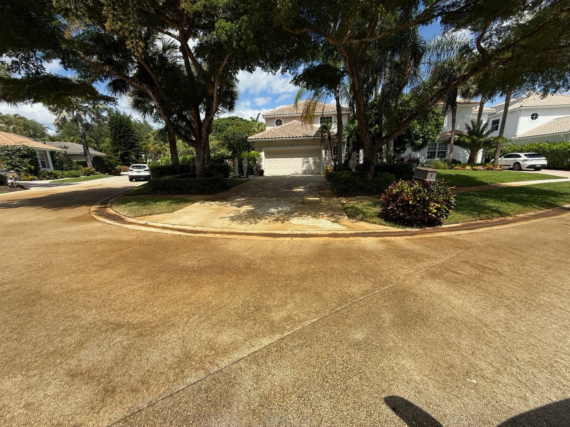 Driveway tannin stain restoration